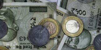 Government Banks in India: Discover Their Role and Impact Today