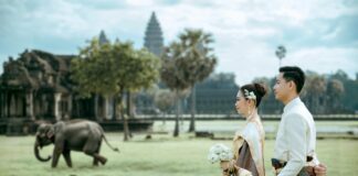 Central Bank Of India Share Price: What You Need To Know Today