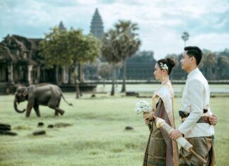 Central Bank Of India Share Price: What You Need To Know Today