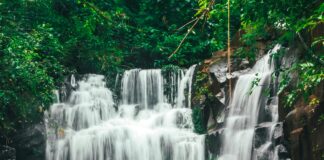 Central Bank of India Share: Discover Its Hidden Potential Today