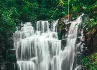 Central Bank of India Share: Discover Its Hidden Potential Today