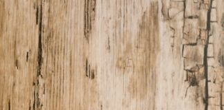 India Post Payment Bank: Unlocking Your Financial Freedom Today