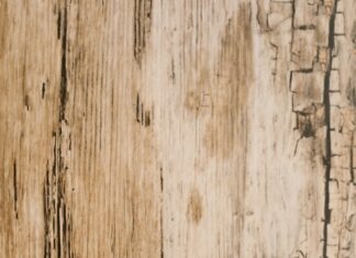 India Post Payment Bank: Unlocking Your Financial Freedom Today